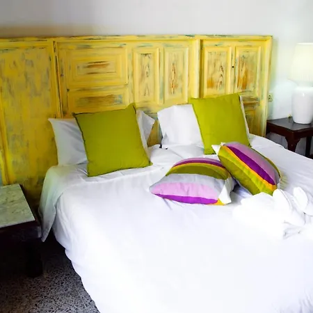 Casa Abuela Elena ゲストハウス